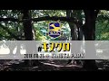 #キヌクロ コース案内 カメラマンは横田真人!