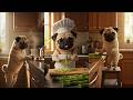 Nonomen funny video😂😂😂 Various Dogs Cooking Anime