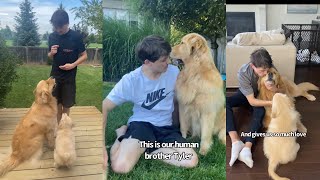 Dogs Are Obsessed with Human Brother