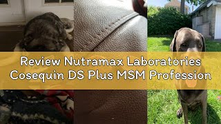 Review Nutramax Laboratories Cosequin Ds Plus Msm Professional Line For Dogs, 60 Soft Chews