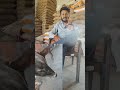 पाशु को बुखार आ रहा है? 😳🐄 | देसी नुस्खा + English दवाई | Dairy Farming Tips #shorts