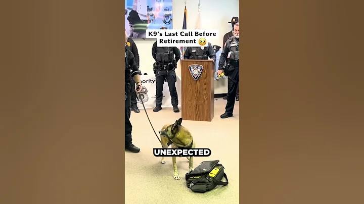 Officers' Big Surprise for K9 🥳