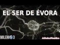Milenio 3 - UFO Crash en Salta / El Ser de Évora / Niños Salvajes