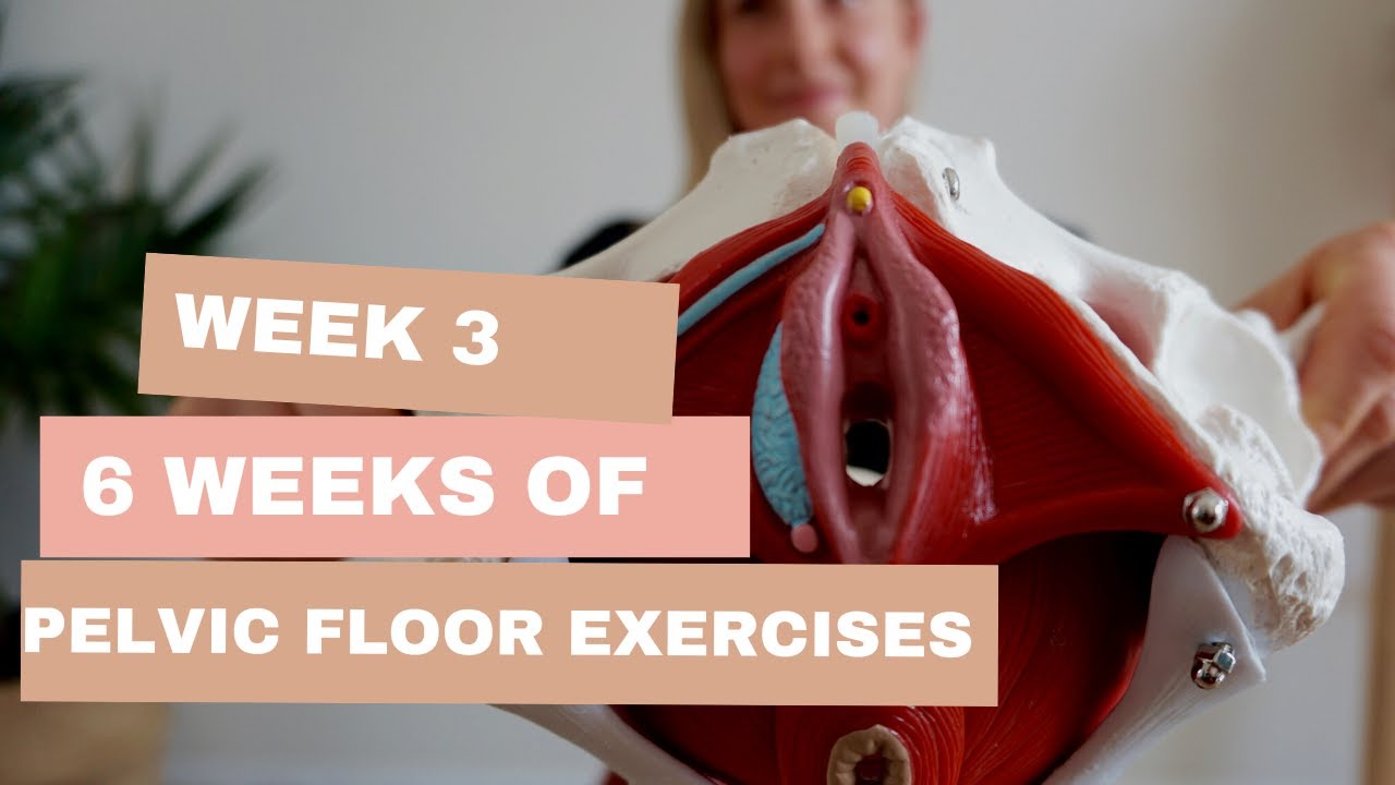 Week 3 of 6 week Pelvic Floor Exercise Challenge - YouTube
