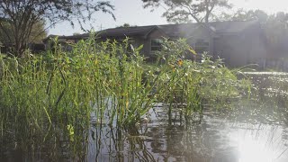 Heres A First Look At This Vidor Neighborhood After Imeldas Flooding