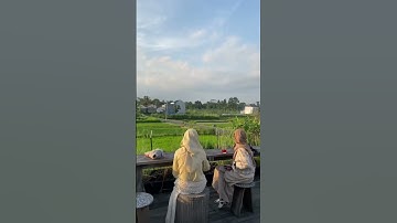 Cafe Estetik di pinggir sawah | JOGJA OFFICIAL