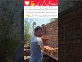He Has No Arms… But Never Gave Up 💔💪#new #shorts #shortvideo #shortsfeed #viral