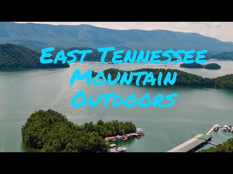 Bass fishing – South Holston Lake