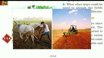 Class 4th EVs chapter 14 Basva