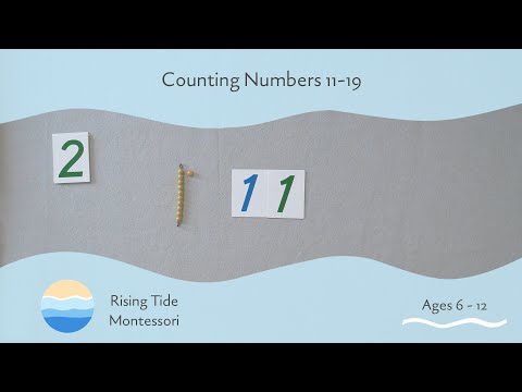 Counting Numbers 11-19