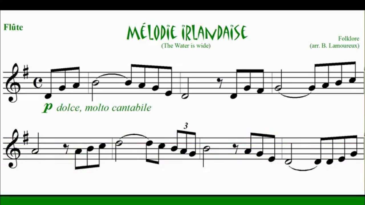 Jouez de la Flûte Irlandaise - Partition - Flûte traversière