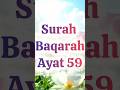 Surah Baqarah Urdu translation ayat 59 #surahbaqarah #urdutranslation #urdutarjuma #kanzuliman #yt