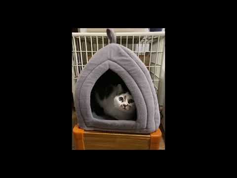 Hollypet Self-Warming 2 in 1 Foldable Comfortable Triangle Pet Cat Bed Tent House