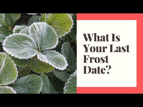 วีดีโอ: เกี่ยวกับ Frost Dates: เมื่อเป็น Frost Date ล่าสุด