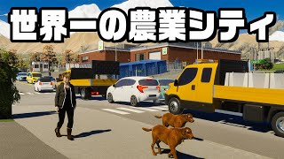 自給自足する世界最高の街を目指す『 Cities Skylines II / シティーズスカイライン2 』 screenshot 5