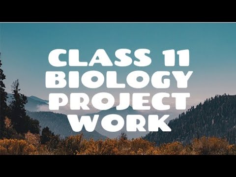 CLASS 11 BIOLOGY PROJECT WORK ON TOPIC POSSIBLE EFFECT OF MATERNAL ...