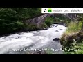 يارب صل على النبى وآله ما فاض نبع بالجداول او جرى حالات دينيه2021 يارب صل على النبى وآله ما فاض نبع بالجداول او جرى حالات دينيه2021