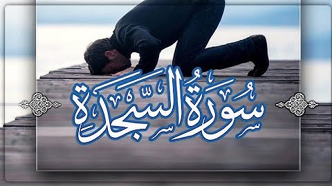 سورة السجدة الشيخ معروف الشريف