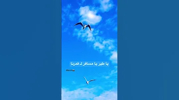 يا طير يا مسافر لقمرنا وائل جسار وائل جسار قديم اغنية قديمة طرب لبنان طير مسافر حبايبنا 