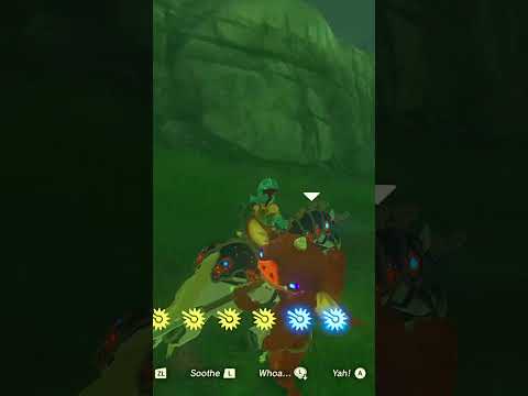 Dude Screams Like a Lady | Zelda BOTW Short