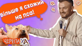 Собак стрижуть, краще за мене - Андрій Озарків - Стендап українською від черепаХА