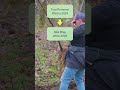 Tree Planting At Kings Island Anoka Shorts Tree Anokaswcd 