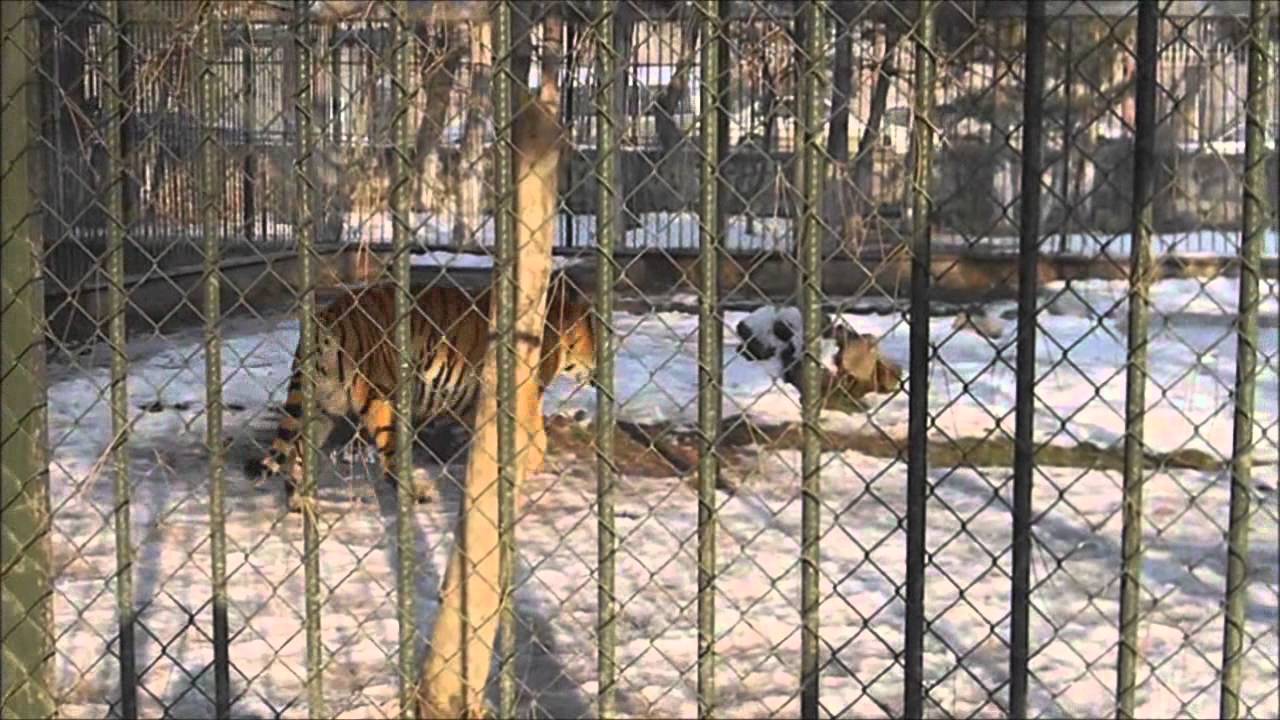 AOÇ Hayvanat Bahçesi