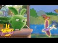 Hopper&#39;s Magic Show | Sunny Bunnies | Cartoons for Kids | WildBrain Blast