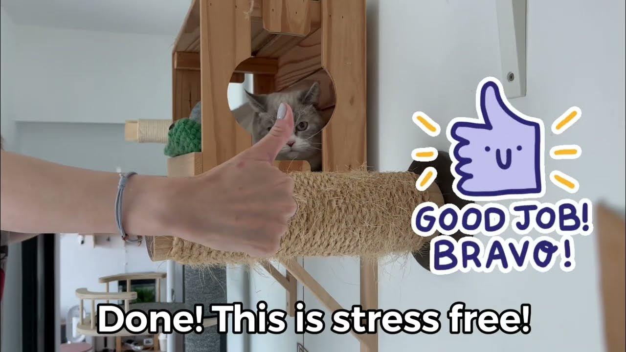 How to Deworm a Skittish Cat YouTube