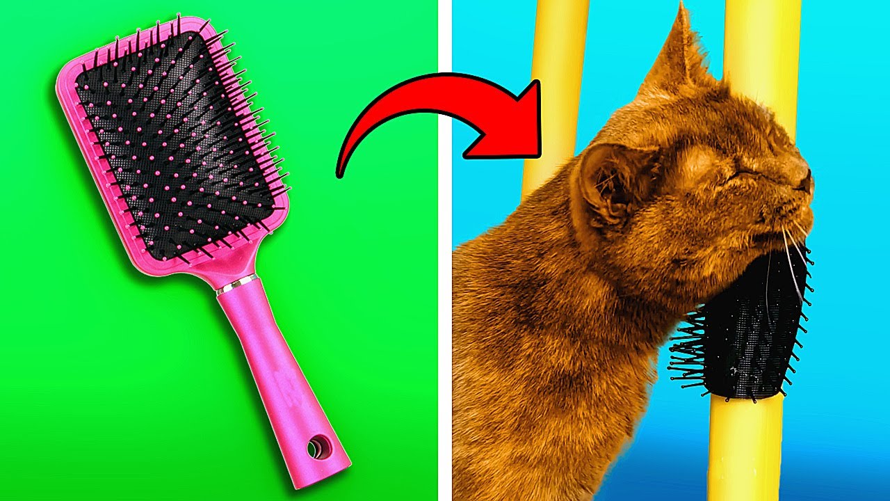 23 AMAZING LIFE HACKS FOR PET OWNERS YouTube