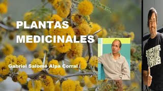 PLANTAS MEDICINALES Y AUTOCTONAS DE CÓRDOBA