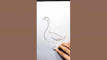 How to draw swan // swan drawing tutorial #art #drawing #shorts #swan