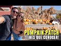 Tienes que conocer la mejor festividad de USA 🇺🇸 TODOS HACEN ESTO EN OTOÑO 😱