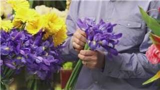 Flower Arrangements : Iris & Daisy Flower Arrangements