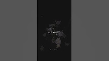 هزاع البلوشي سورة النجم