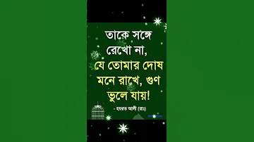 Songi Song Music 