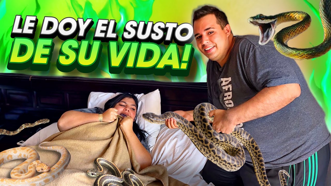 LE METÍ SERPIENTES EN LA CAMA A MI ESPOSA MIENTRAS DORMÍA ¡Broma Pesada!
