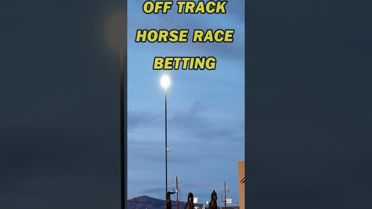 Wyoming's Newest Casino is INSANE #casino #slots #gambling