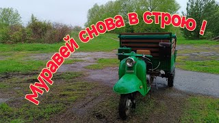 Муравей снова в строю !