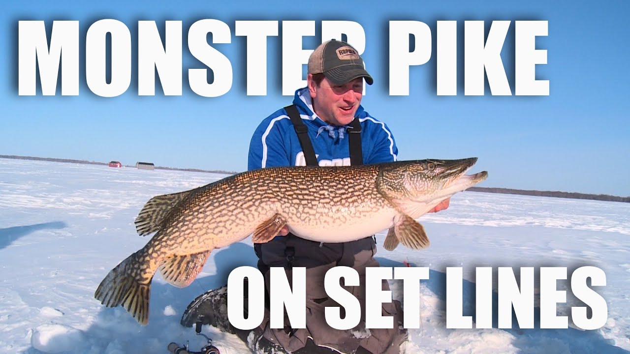 Monster Northern Pike On Setlines, Ice Fishing