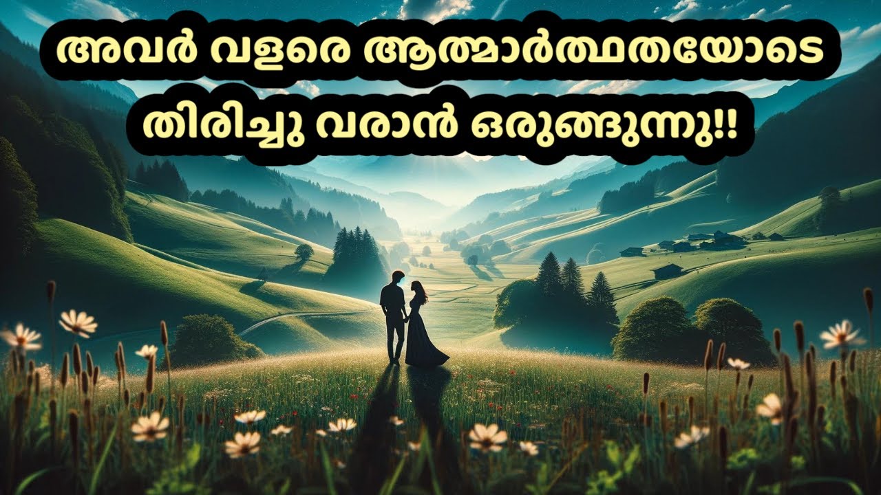 അവർ വളരെ ആത്മാർത്ഥതയോടെ തിരിച്ചു വരാൻ ഒരുങ്ങുന്നു! | Are they back sincerely?