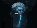 Your Brain Can Torture You With Body Parts That Don't Exist