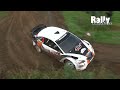 Hellendoorn Rally 2010