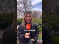 TÜM BORÇLARININ KAPANMASI MI, DÜNYA KUPASI’NA GİTMEK Mİ? 🇹🇷⚽️