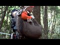 ＃27 田舎で鹿を獲って食べて暮らす