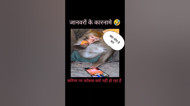 animal funnny moment 🤣#trendingshorts #animalfunny #comedy #facttime