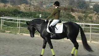 Andrea Vega - Concurso Hípico En Mas Cavalls
