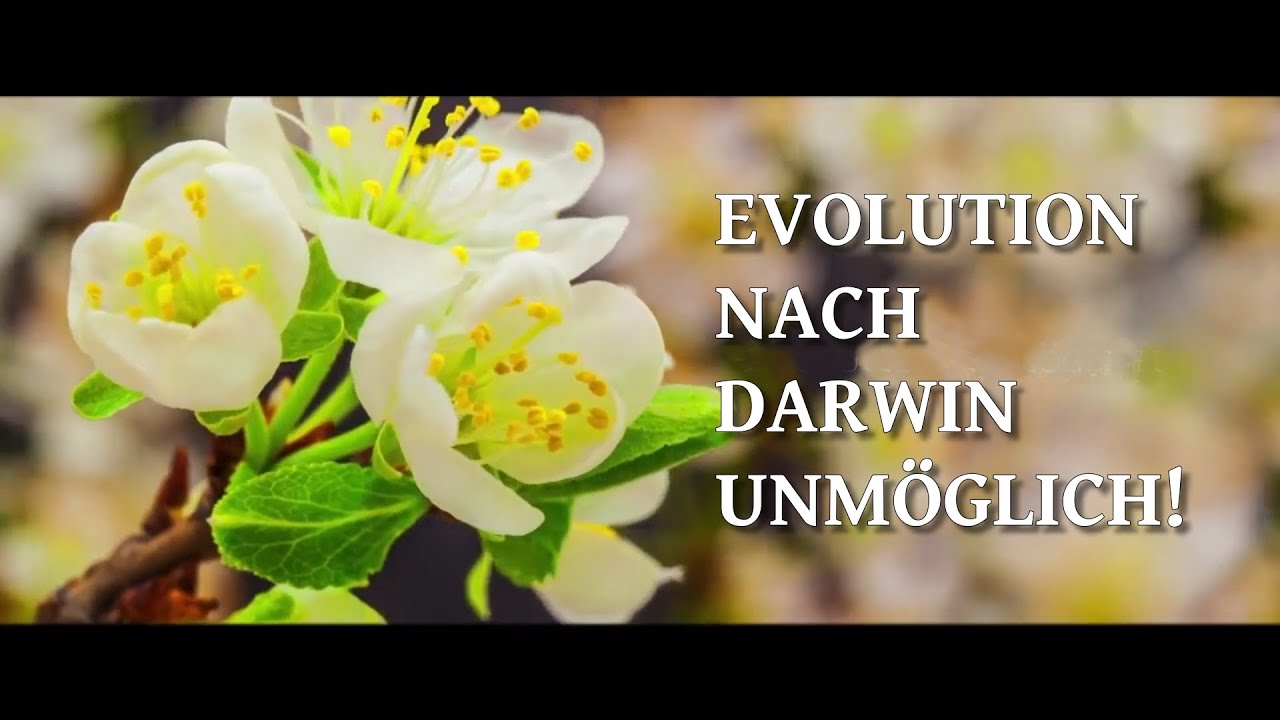 Evolution nach Darwin ist UNMÖGLICH! Atheismus durch Naturgesetze widerlegt | Ronny Schreiber