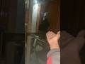 موسى طردني موسى طردني