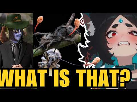 Luvlivvyy's Epic Fail: The Internet Reacts.